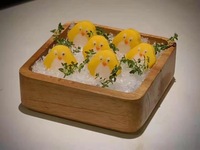 企鹅仔
